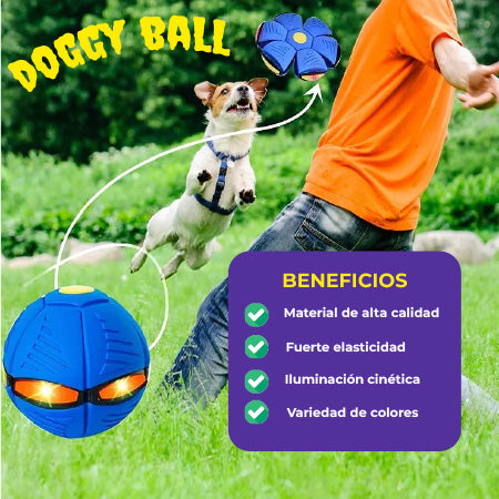 NUEVA DOGGY BALL!