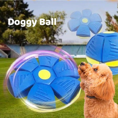 NUEVA DOGGY BALL!