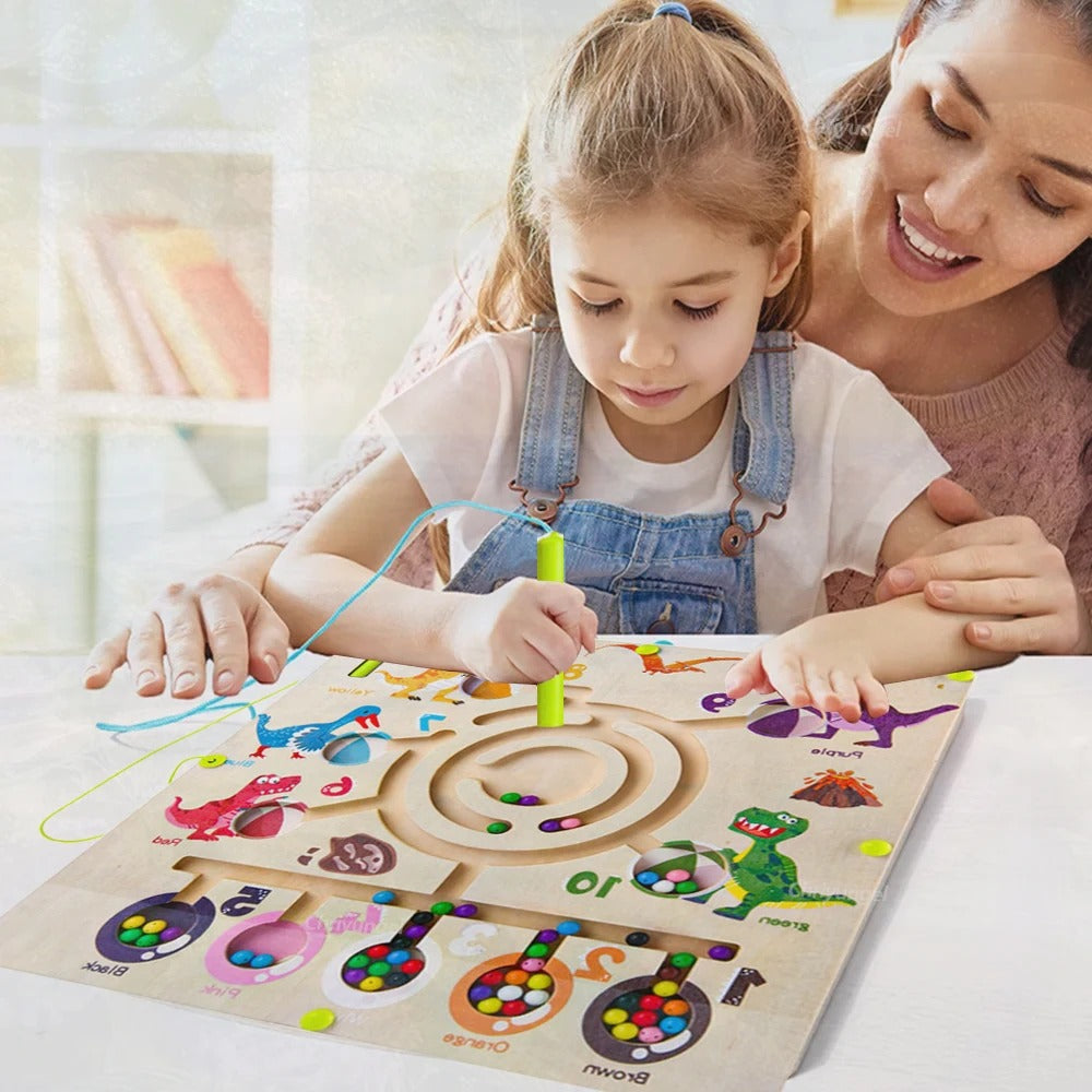 LABERINTO MAGNÉTICO PREMIUM